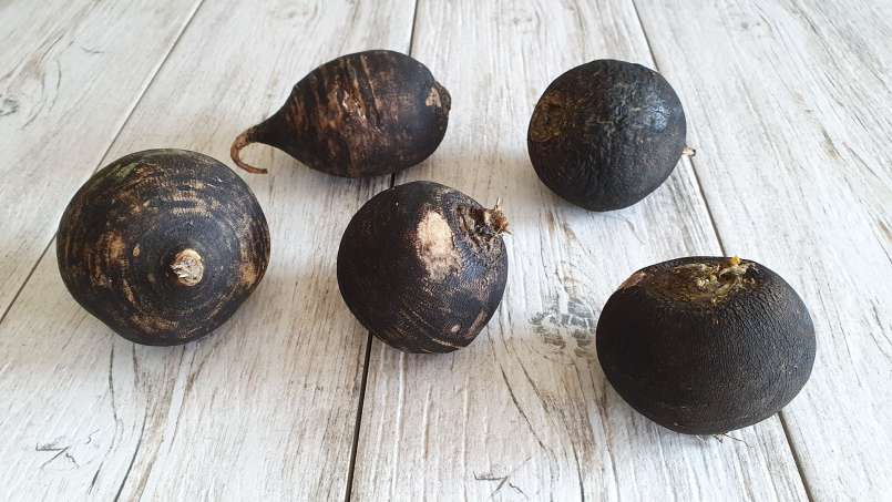 Ridichea - obat ajaib