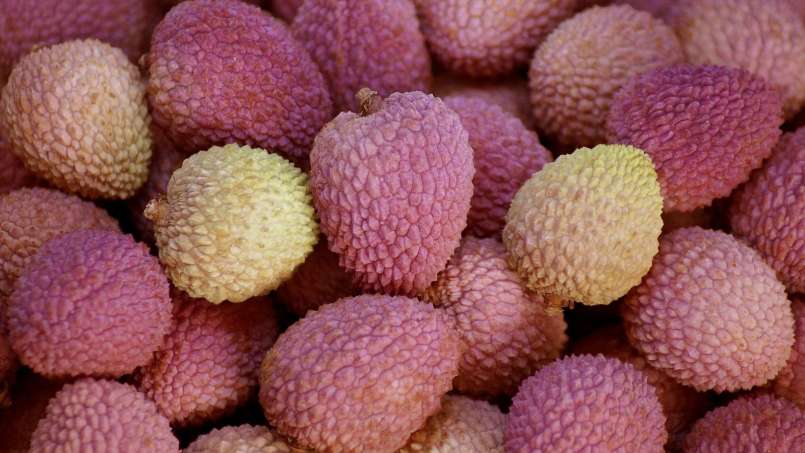 Buah-buahan eksotis dan manfaatnya bagi kesehatan