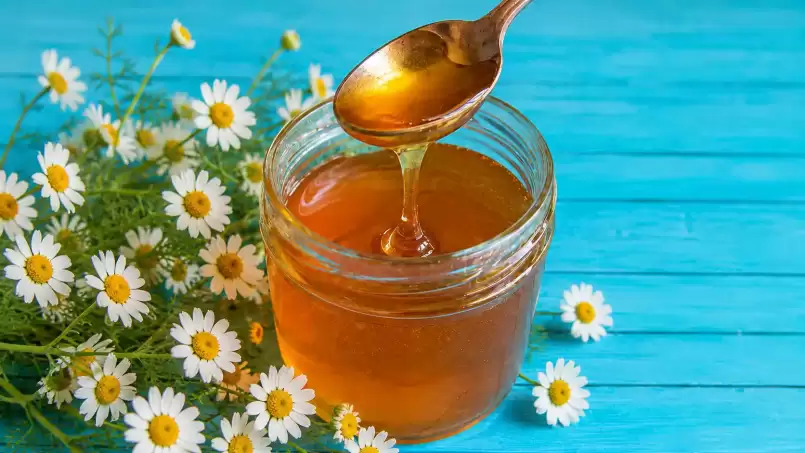 Ekstrak kamomil dalam madu atau madu kamomil